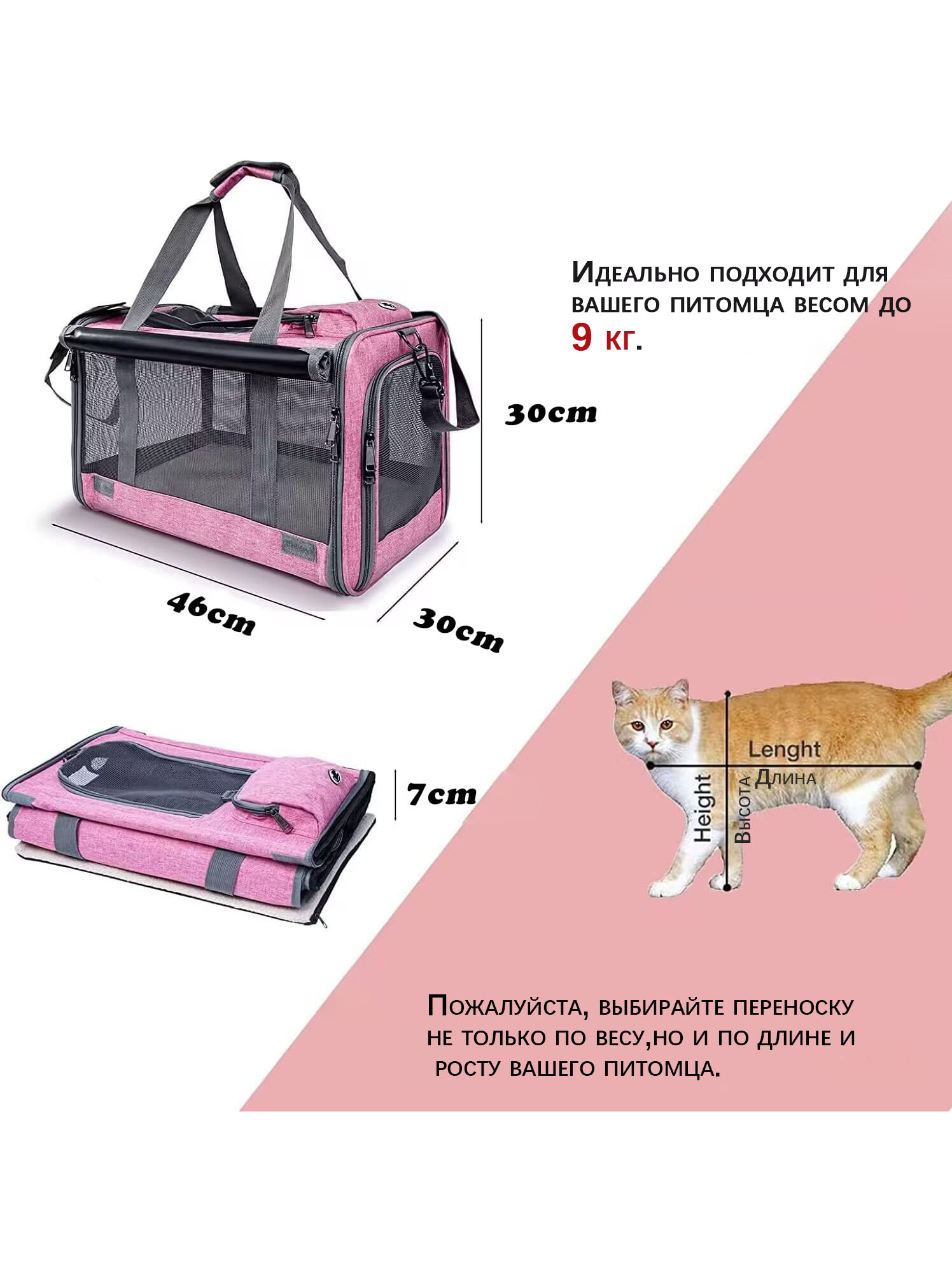 pink 02 pink 02