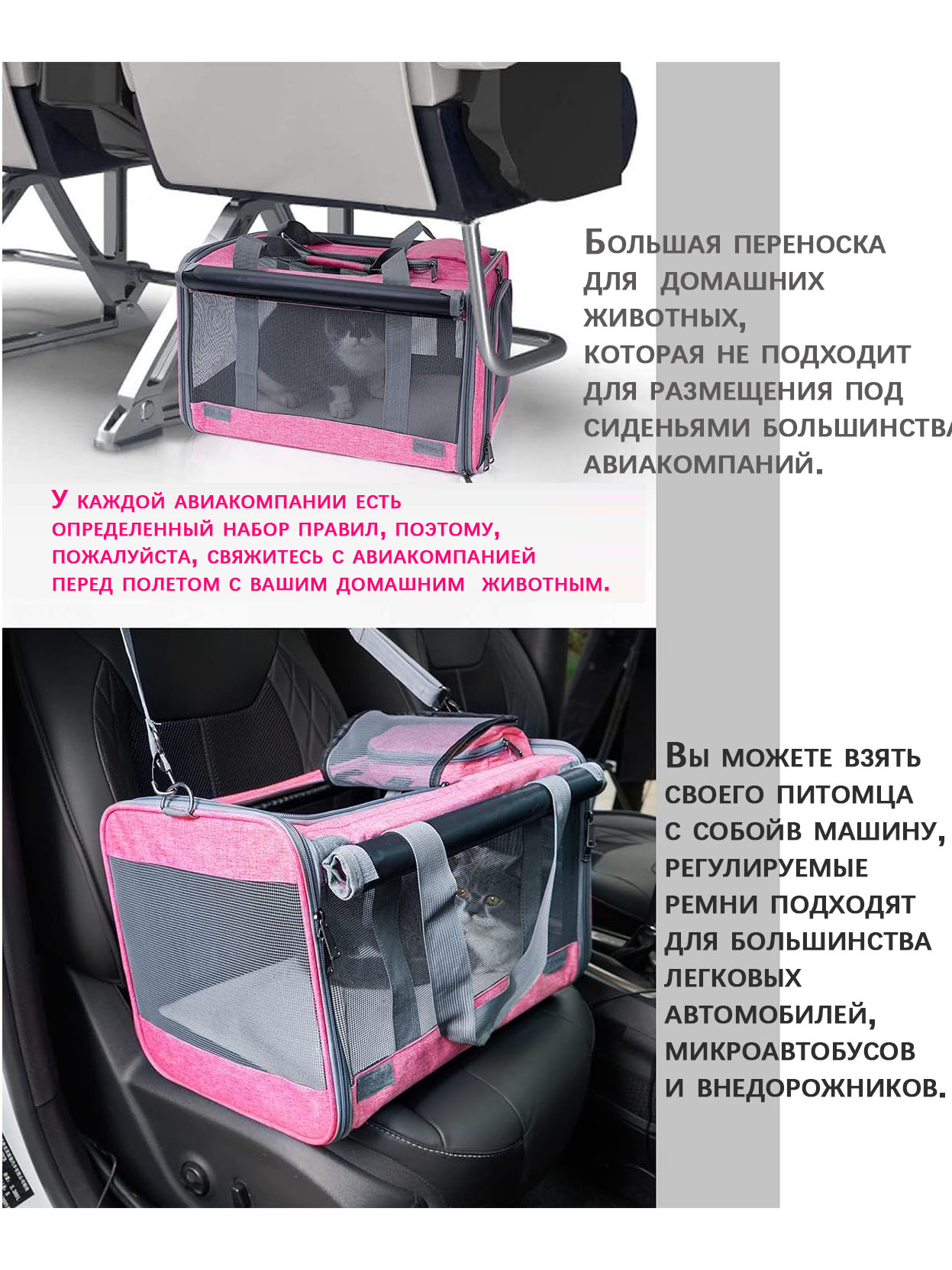 pink 05 pink 05