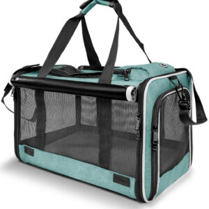 turquoise 01