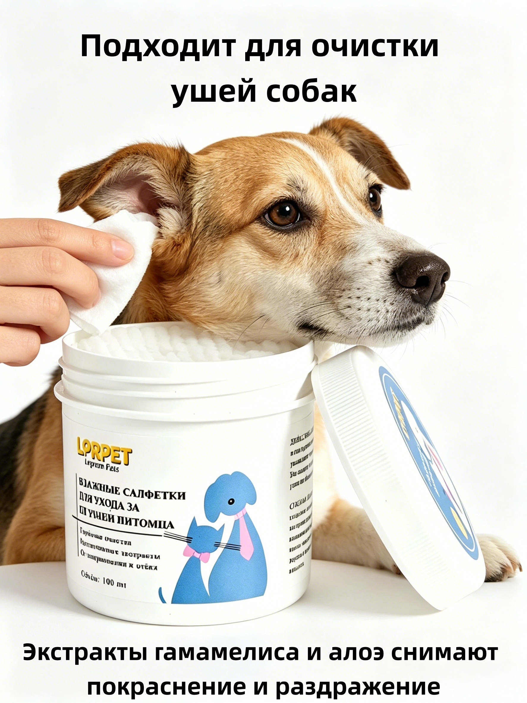 cwsj-05 cwsj-05